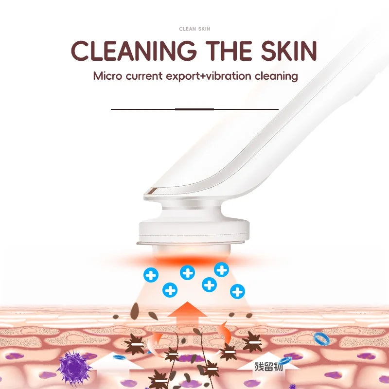 Multifunctional Facial Skin Care Device